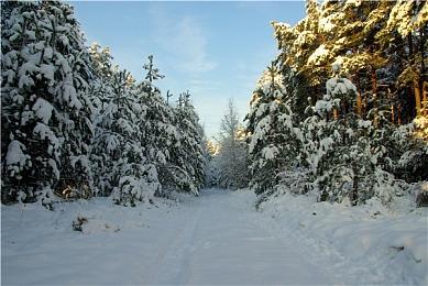 港服NSO试玩同乐会免费游玩 《马力欧+疯狂兔子 王国之战》